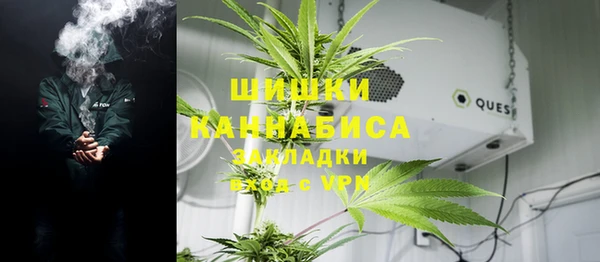эйфоретик Арсеньев