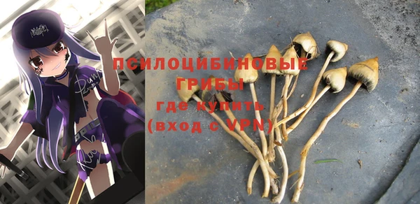 дживик Алексин