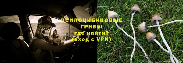 дживик Алексин